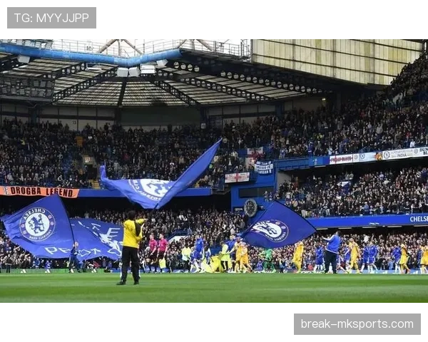 新球场设施全面升级，显著提升球迷观赛体验